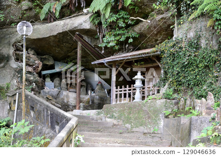 Homanji Park 129046636