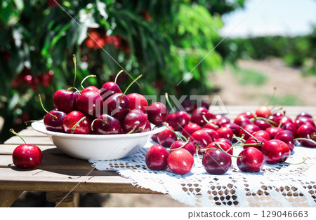 ripe juicy cherries in a white bowl on a lace napkin on the table 129046663