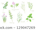 Illustrations of various herbs 129047269