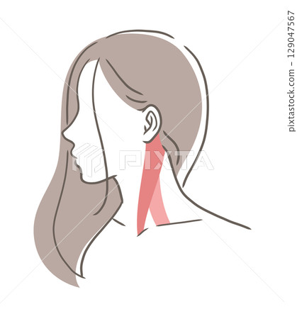 胸鎖乳突肌插畫素材 129047567