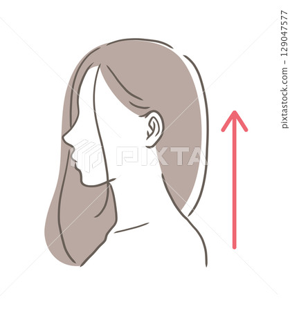 Bust-up illustration of a woman with good posture 129047577