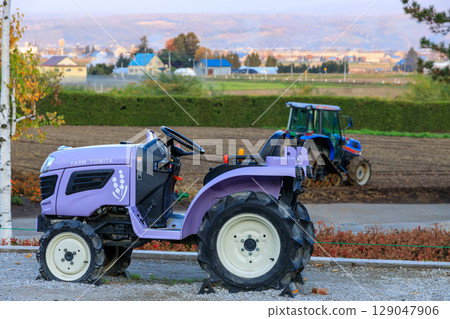 Autumn scenery of Farm Tomita 129047906