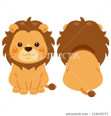 Sitting lion front and back illustration set 129048371