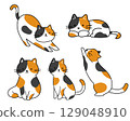 Calico cat pose set illustration 129048910