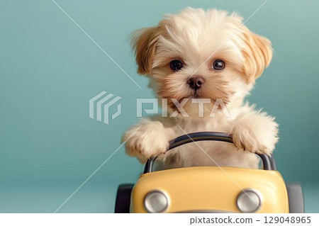 一隻像司機一樣的小狗在駕駛座上打招呼 129048965