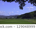 Rural landscape in summer countryside 129048999