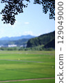 Summer rural landscape vertical 129049000