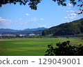 Summer rural landscape with bushes below 129049001