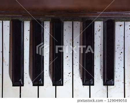 舊器官 舊器官 129049058