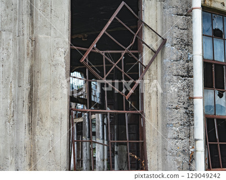 Bungo Forest Collection 129049242