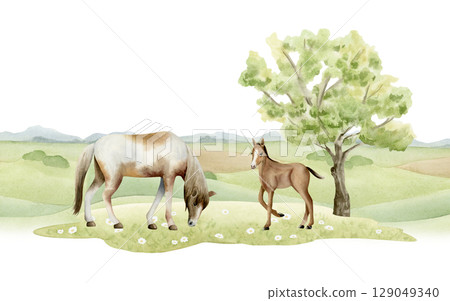 Watercolor horse with colt on green field landscape illustration isolated on white. Horizontal countryside pasture scene with hills and tree for farm and village designs. Grazing animals clip art Watercolor horse with colt on green field landscape illustration isolated on white. Horizontal countryside pasture scene with hills and tree for farm and village designs. Grazing animals clip art 129049340
