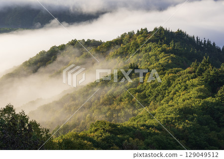 早晨太陽照亮的雲彩海 129049512