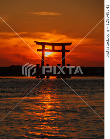 濱名湖弁天島鳥居的夜景 129049543