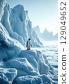 Penguin on an iceberg 129049652