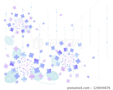 繡球花背景圖 129049876