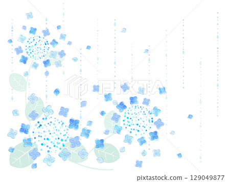 Hydrangea background illustration 129049877
