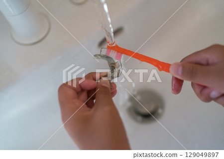 孩子用牙刷刷牙齒矯正器(擴張板) 孩子用牙刷刷牙齒矯正器(擴張板) 129049897