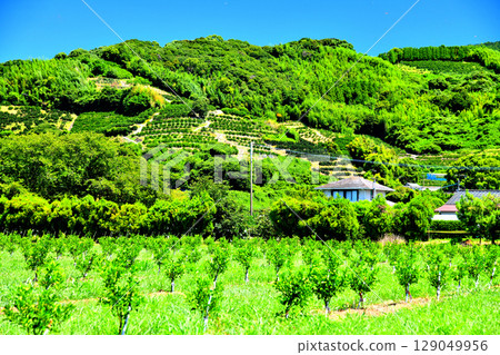 Scenery of Oguchi, Misumicho, Uki City, Kumamoto Prefecture [July 2025] 129049956