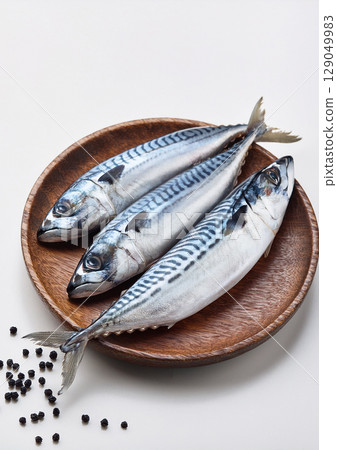 Mackerel, a fish rich in protein 129049983