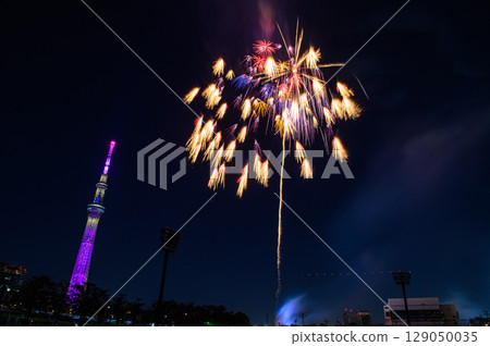 Sumida River Fireworks Festival Tokyo Skytree Sumida River Fireworks Festival Tokyo Skytree 129050035