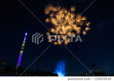 隅田川煙火大會 東京晴空塔 隅田川煙火大會 東京晴空塔 129050039