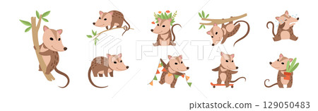 Cute Opossum Animal with Tail in Various Pose Vector Set 129050483