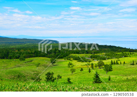 Hokkaido: The Sea of Okhotsk from the Shiretoko Five Lakes elevated boardwalk 129050538