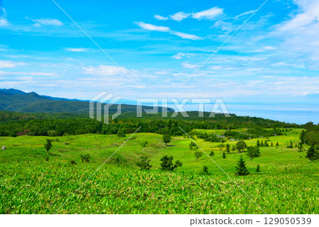 Hokkaido: The Sea of Okhotsk from the Shiretoko Five Lakes elevated boardwalk 129050539