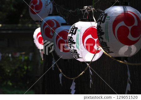 鄉村節日燈籠 129051520
