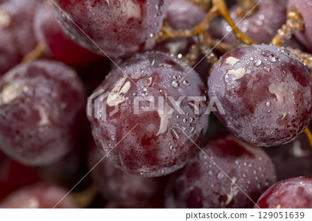 wet grapes after washing the berries, clean wet grapes safe for eating 129051639