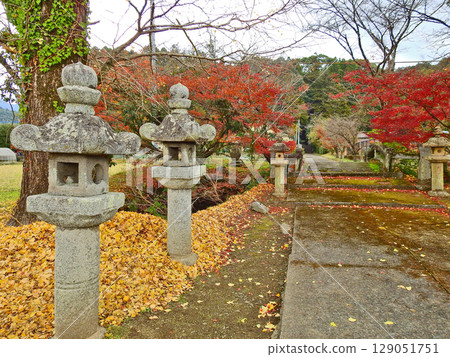 The approach to Akizuki Hachimangu Shrine and autumn leaves in Kamiakizuki, Asakura City, Fukuoka Prefecture The approach to Akizuki Hachimangu Shrine and autumn leaves in Kamiakizuki, Asakura City, Fukuoka Prefecture 129051751