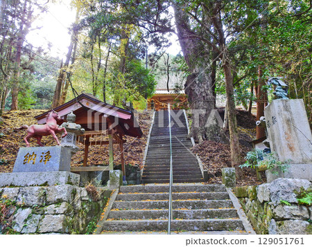 The steps and sacred tree of Kino Shrine in Miyako Town, Fukuoka Prefecture 129051761
