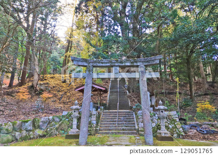 Autumn approach and torii gate of Kino Shrine in Miyako Town, Fukuoka Prefecture 129051765
