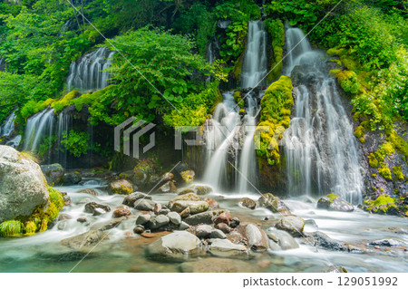 [山梨縣] 道龍瀑布：深綠色 129051992