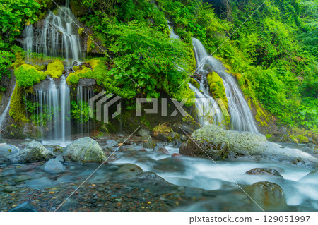 [山梨縣] 道龍瀑布：深綠色 129051997