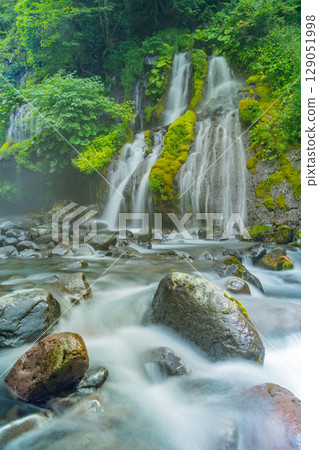 [Yamanashi Prefecture] Doryu Falls: Deep green 129051998