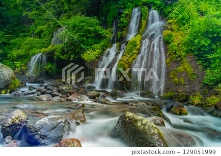 [山梨縣] 道龍瀑布：深綠色 129051999