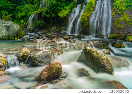 [山梨縣] 道龍瀑布：深綠色 129052000