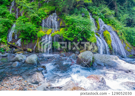 [山梨縣] 道龍瀑布：深綠色 129052030