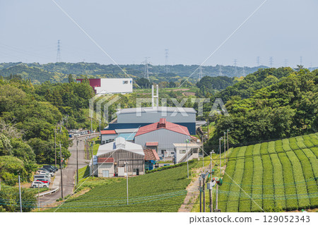 從菊川市（靜岡縣）的山上眺望茶園 129052343
