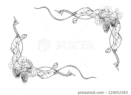 Strawberry hanging on stems with vines tendrils, ripe garden berry pineberry strasberry snakeberry. Isolated hand drawn vector ink corner border vignette frame. Farmers market, eco gardening calendar 129052363