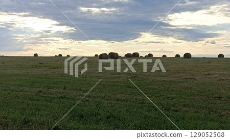 Golden Hay Bales Dotting the Vast Green Field Under a Dramatic Cloudy Sky at Sunset 129052508