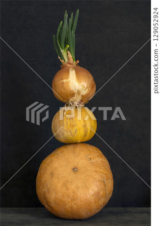 Still life with several pumpkins and sprouted onions 129052924