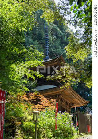 日龍寺院內風景 129053069