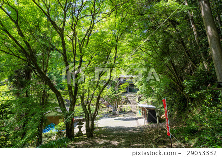 View of the grounds of Nichiryuhoji Temple. The pagoda donated by Hojo Masako 129053332