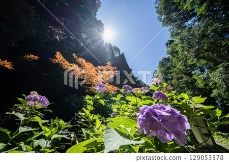 日龍寺院內風景 日龍寺院內風景 129053578