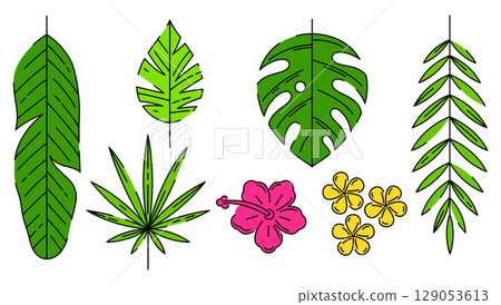 Set of stylized palm leaves. Decorative image of tropical foliage and plants. 129053613