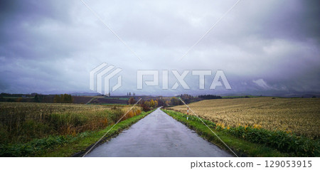 A landscape of a road in late autumn in Biei, Hokkaido, with a light rain falling 129053915