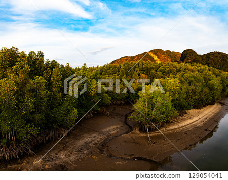 Drone view Mangrove forest trees in Thailand 129054041