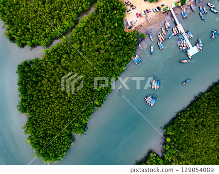Drone view Mangrove forest trees in Thailand 129054089